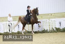 24R13_13613 thumbnail