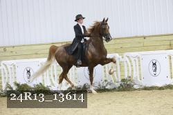 24R13_13614 thumbnail