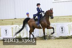 24R13_13615 thumbnail