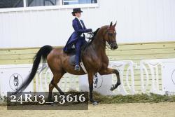 24R13_13616 thumbnail