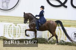 24R13_13617 thumbnail