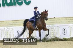 24R13_13618 thumbnail