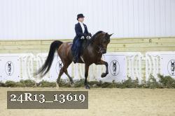 24R13_13619 thumbnail