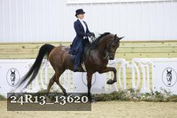 24R13_13620 thumbnail