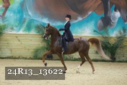24R13_13622 thumbnail