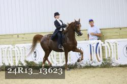 24R13_13623 thumbnail