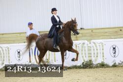 24R13_13624 thumbnail