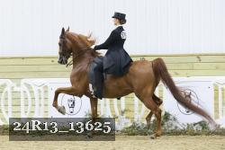 24R13_13625 thumbnail