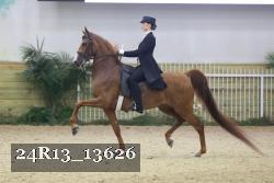 24R13_13626 thumbnail