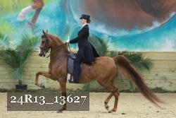 24R13_13627 thumbnail