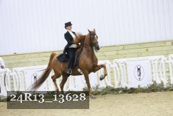 24R13_13628 thumbnail