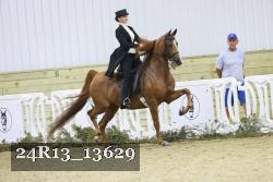 24R13_13629 thumbnail
