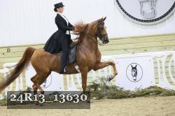 24R13_13630 thumbnail