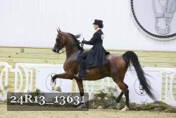 24R13_13631 thumbnail