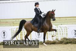 24R13_13633 thumbnail