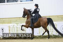 24R13_13634 thumbnail