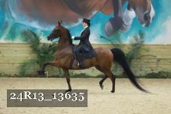 24R13_13635 thumbnail