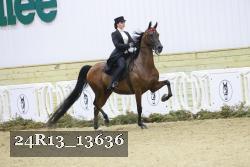 24R13_13636 thumbnail