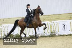 24R13_13637 thumbnail