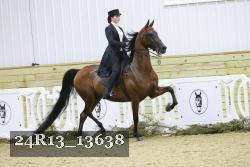 24R13_13638 thumbnail