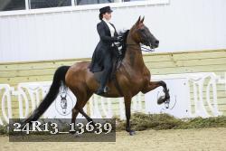 24R13_13639 thumbnail