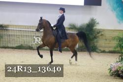 24R13_13640 thumbnail