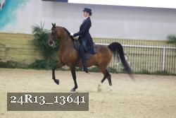 24R13_13641 thumbnail