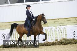 24R13_13643 thumbnail