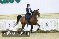24R13_13644 thumbnail