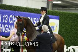 24R13_13645 thumbnail