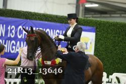 24R13_13646 thumbnail