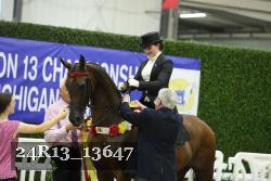24R13_13647 thumbnail