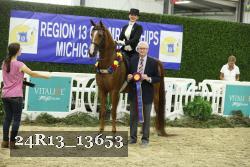 24R13_13653 thumbnail