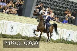 24R13_13656 thumbnail