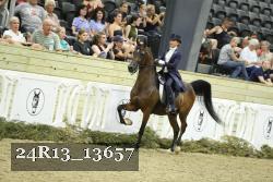 24R13_13657 thumbnail