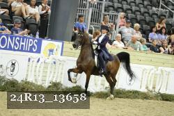 24R13_13658 thumbnail