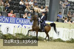 24R13_13659 thumbnail