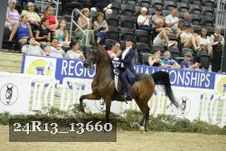 24R13_13660 thumbnail