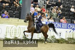 24R13_13661 thumbnail