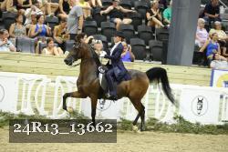 24R13_13662 thumbnail
