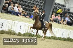 24R13_13663 thumbnail