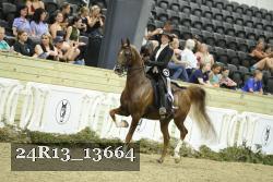 24R13_13664 thumbnail