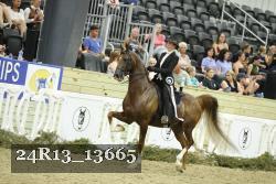 24R13_13665 thumbnail