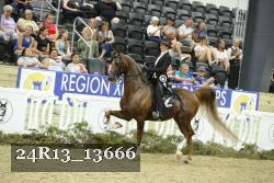 24R13_13666 thumbnail