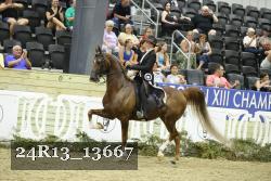 24R13_13667 thumbnail