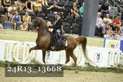 24R13_13668 thumbnail