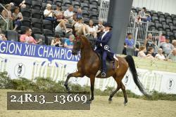 24R13_13669 thumbnail
