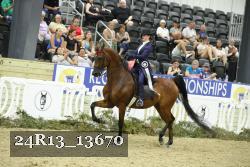 24R13_13670 thumbnail
