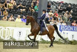 24R13_13671 thumbnail