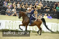 24R13_13672 thumbnail